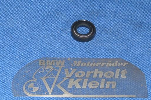 Simmerring Druckstange 